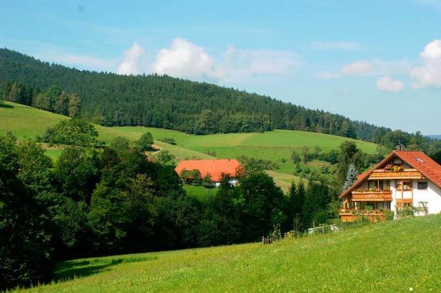 Schwarzwaldidylle: Der Elzacher Ortsteil Yach  | Foto: hans-jrgen trul