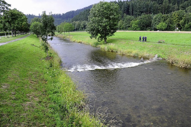 Die Dreisam soll entlang der Kartauswiesen weiter und damit kologischer werden.  | Foto: Ingo Schneider