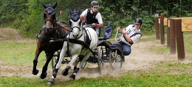 Im Gelnde bietet der Fahrsport die sp...m Samstag ist es in Ichenheim soweit.   | Foto: Verein