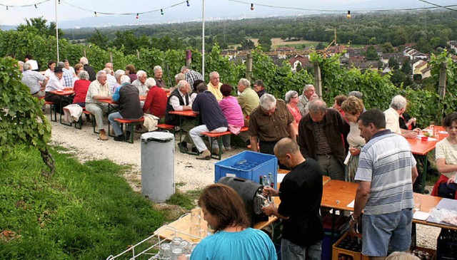 Whrend die Ortschaftsrte im Service ... in den Reben mit Blick ber das Dorf.  | Foto: cremer