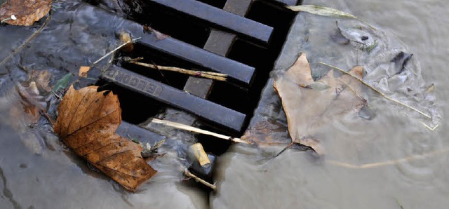 Fliet Regenwasser in die Kanalisation...s oder wird es in Zisternen geleitet?   | Foto: Ingo Schneider