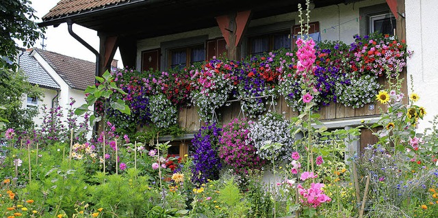 Die Bltenpracht am Haus Fesenmeier in Dittishausen wird oft bewundert.   | Foto: Christa Maier