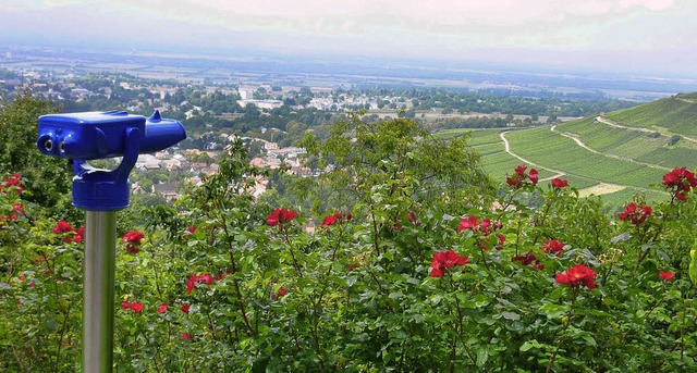 Ein neues Fernrohr gibt&#8217;s fr Spaziergnger  im Kurpark von Badenweiler.  | Foto: Sigrid Umiger