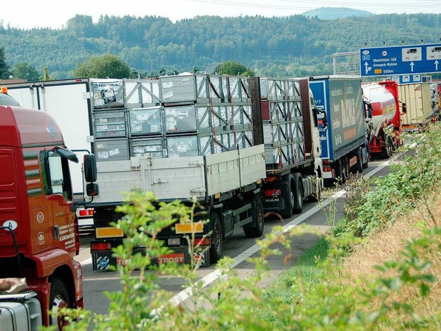 Lkw-Stau auf der Autobahn vor  der Grenze in Rheinfelden  | Foto: Ingrid Bhm-Jacob