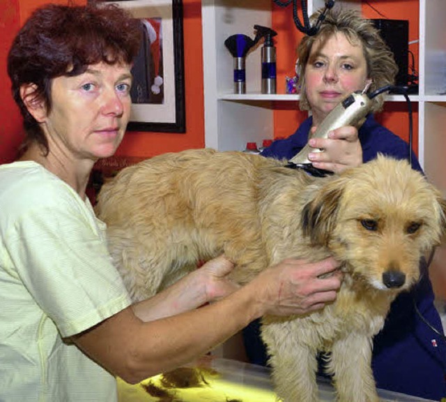 Die Rettungshundeausbilderin Dana Genrich erffnete einen Hundesalon.  | Foto: Dieter Erggelet
