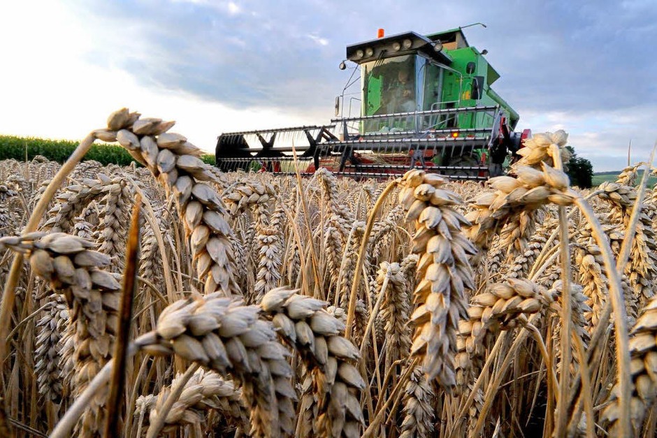 Fotos: Das Getreide ist geerntet - Ehrenkirchen - Fotogalerien ...