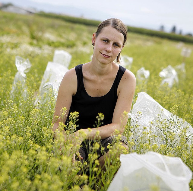 Janna Groeneveld hat Leindotterpflanzen verpackt.   | Foto: Christoph Breithaupt