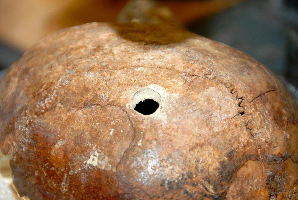 Wissenschaftler Kein Kannibalismus am Hochrhein Bad Säckingen