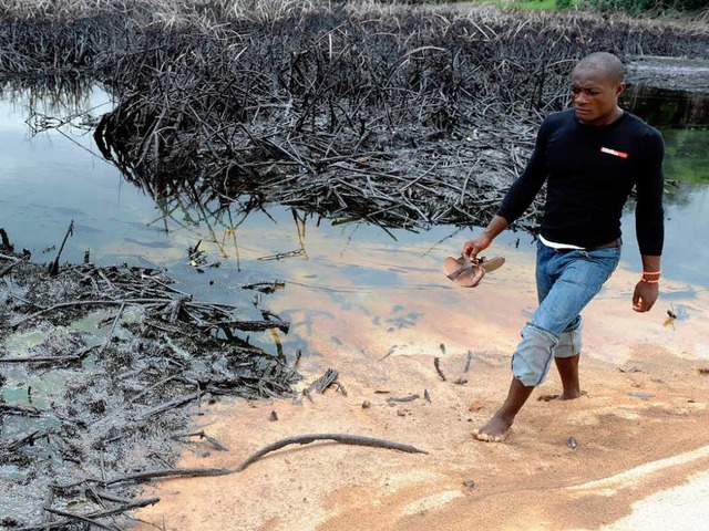 Diese Aufnahme aus dem Jahr 2010 zeigt Rohl in den Smpfen des Nigerdeltas.   | Foto: AFP