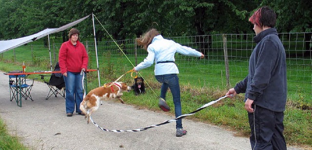 Schferhundverein Blansingen  | Foto: Jutta Schtz