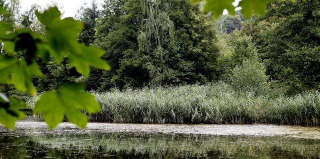 Der Hohbegsee im Lahrer Osten ist eine...alb fr 25000 Euro ausgebaggert wird.   | Foto: christoph breithaupt