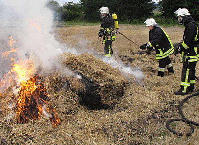 Einsatz der Staufener Feuerwehr  | Foto: privat