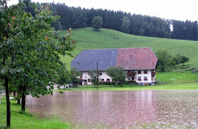 Kleiner See, wo sonst Weide ist: der E... heftigen Regenfllen  ber die Ufer.   | Foto: Rombach