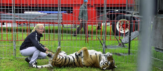 Tierlehrerin Ivonne Muderack  vom Zirk... Umgebung auf dem Festplatz vertraut.   | Foto: Dieter Erggelet