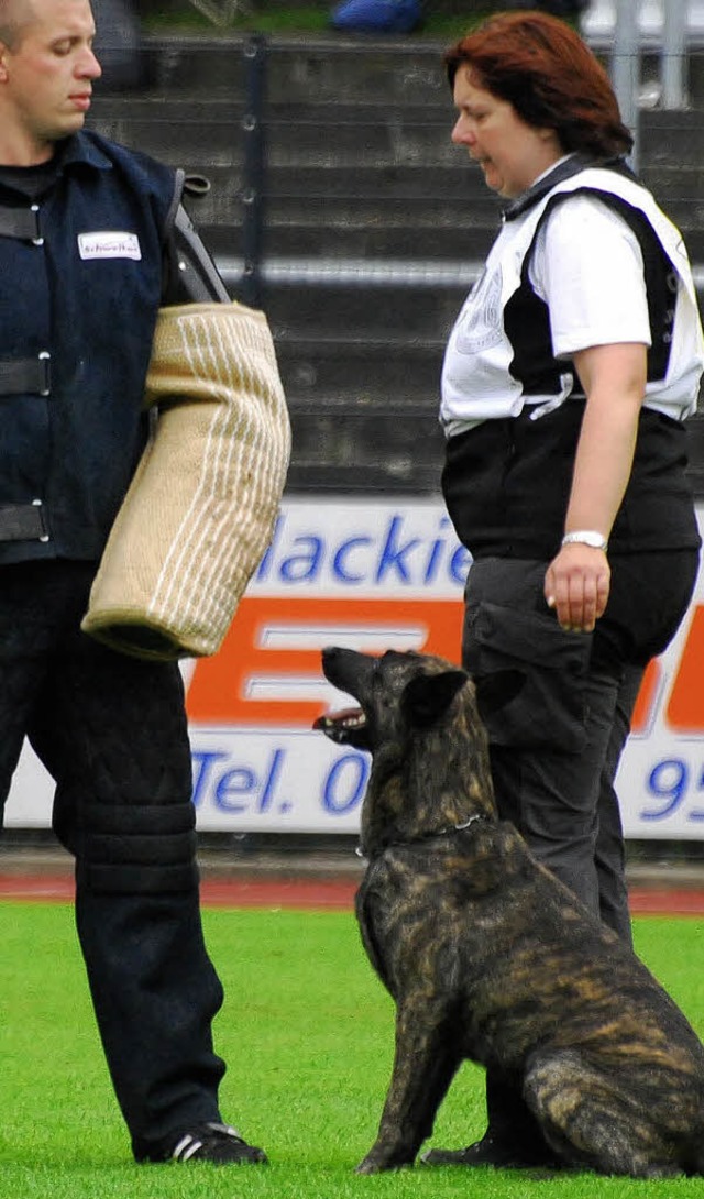 Glenmore, der Hund der Friesenheimerin...hutzdiensthelfer und erntet viel Lob.   | Foto: Corinna Konieczny