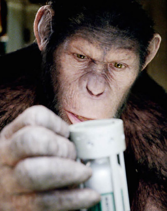 Lebensecht: Andy Serkis als Schimpanse Caesar  | Foto: dapd