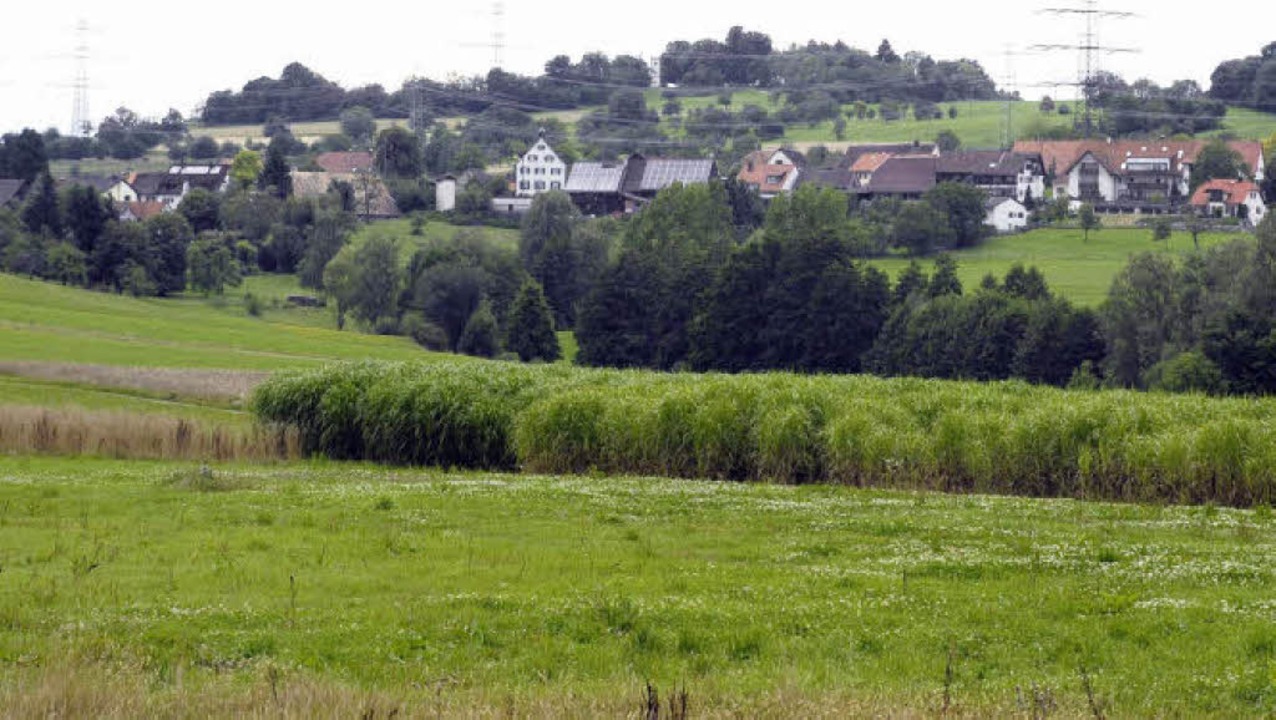Auf dem Dinkelberg gibt es viele Naturdenkmale.   | Foto: Jannik Schall