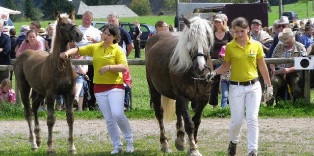 Erfolgreiche Jungzchter beteiligten s... der Pferdevorstellung in St. Mrgen.   | Foto: Monika Rombach