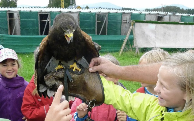 Lea mit einem Bussard auf dem Falknerhandschuh   | Foto: Privat