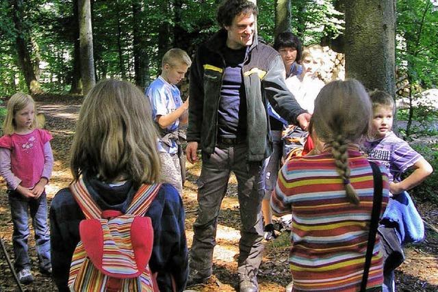 Auf der Pirsch im Rickenbacher Wald