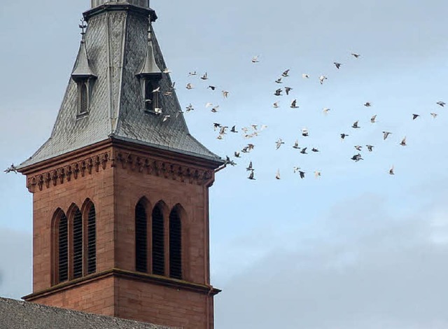 Ein eindrucksvolles Symbol: 100 Friede...eren den Turm der Heilig-Geist-Kirche.  | Foto: Hildegard Siebold