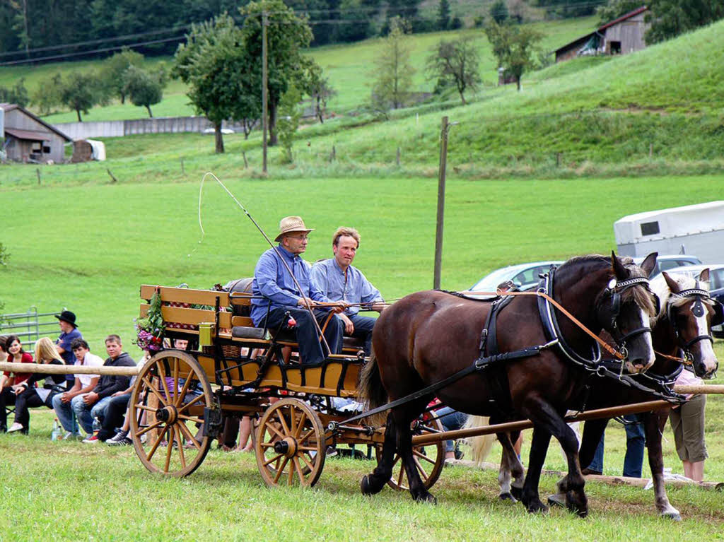 Fohlenschau 2011