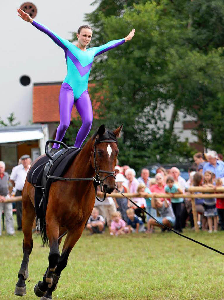 Fohlenschau 2011