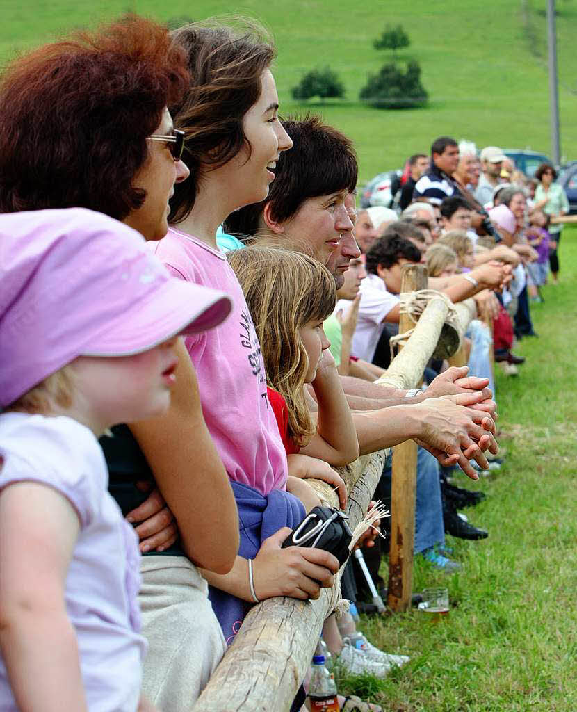 Fohlenschau 2011