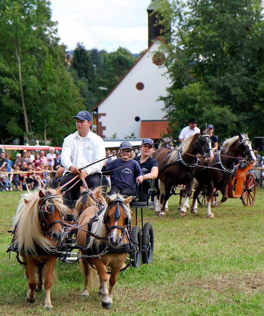 Fohlenschau 2011