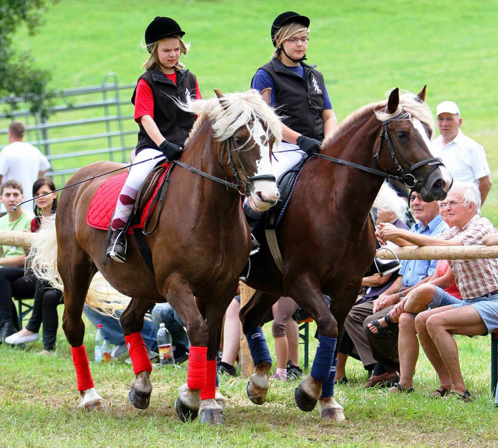 Fohlenschau 2011