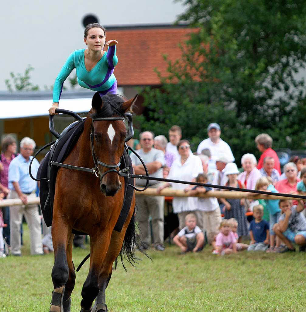 Fohlenschau 2011