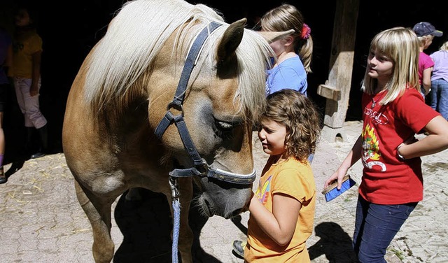 Tiere zum Anfassen: Das gab&#8217;s im...ler Kinderferienprogramms in Brchau.   | Foto: Hans-Jrgen Hege