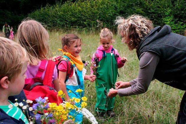 Naturwerkstatt bietet Waldgruppen fr Kinder an