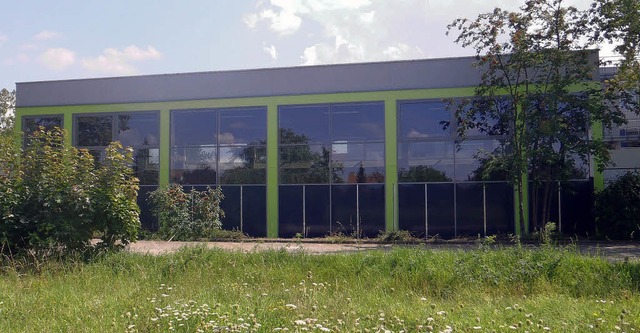 Lindgrn ist angesagt: die neue Fassade der Schulturnhalle   | Foto: BZ