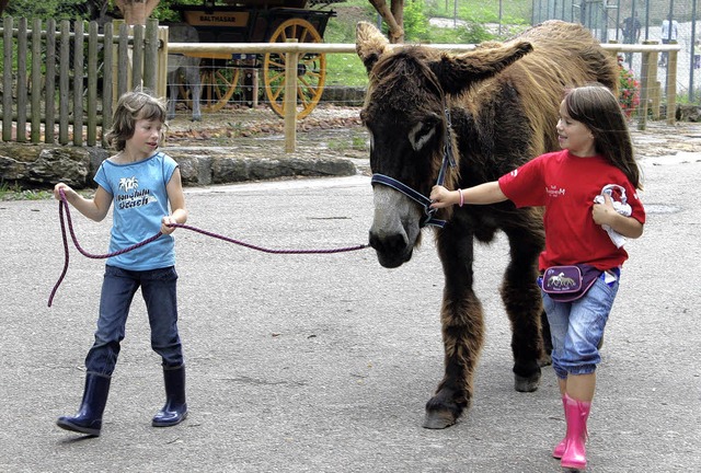 Hanna Person und Jana Erny freunden sich mit dem Esel Mephisto an.   | Foto: Adelbert Mutz