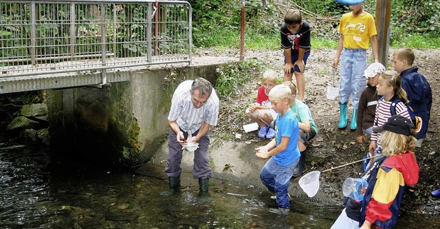 Elf Kinder nahmen unter der Anleitung ...lenschachenwalds kreucht und fleucht.   | Foto: Hedda David