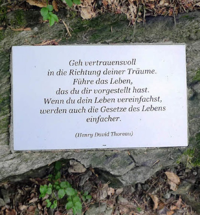 Im Wald Lauert Die Kunst Titisee Neustadt Badische Zeitung