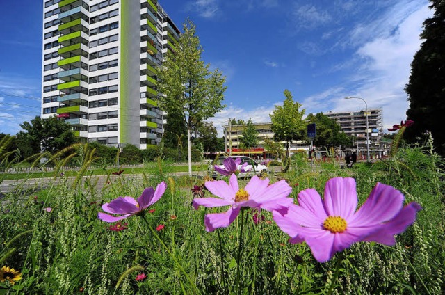 Welche Flchen in Weingarten noch beba...1; auch unter Beteiligung der Brger.   | Foto: Thomas Kunz