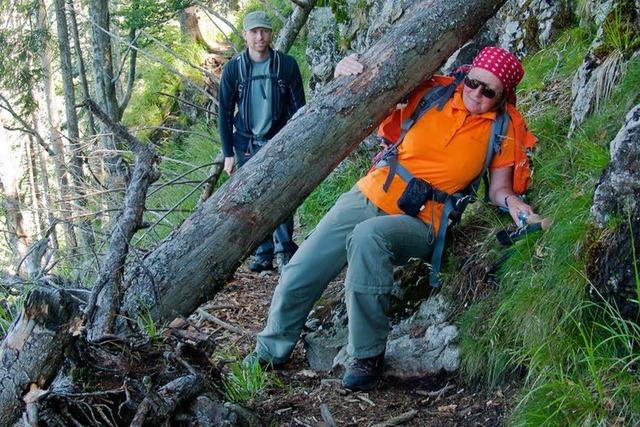 Alpiner Pfad: Vom Forstamt aufgegeben – ein Geheimtipp für Wanderer