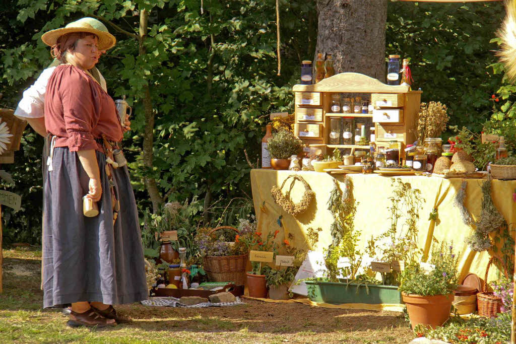 Kräuter und Heilpflanzen wurden im Mittelalter genutzt Kräuter und Heilpflanzen wurden im Mittelalter genutzt