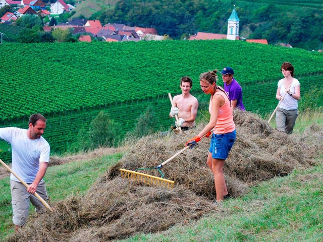 Die Camp-Teilnehmer arbeiteten in Naturschutzgebieten mit.  | Foto: Benjamin Bohn