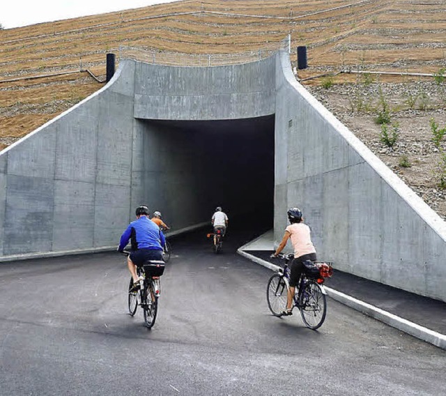 Wohin fhrt der Weg dachte sich manche...Tunnel auf Schweizer Seite ansteuerte.  | Foto: Claudia Gempp