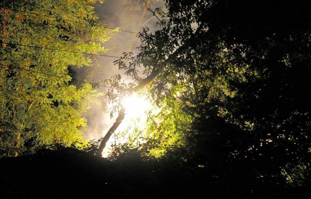 Der brennende Baum auf der Oberleitung...ecke zwischen Mllheim und Neuenburg.   | Foto: Volker Mnch