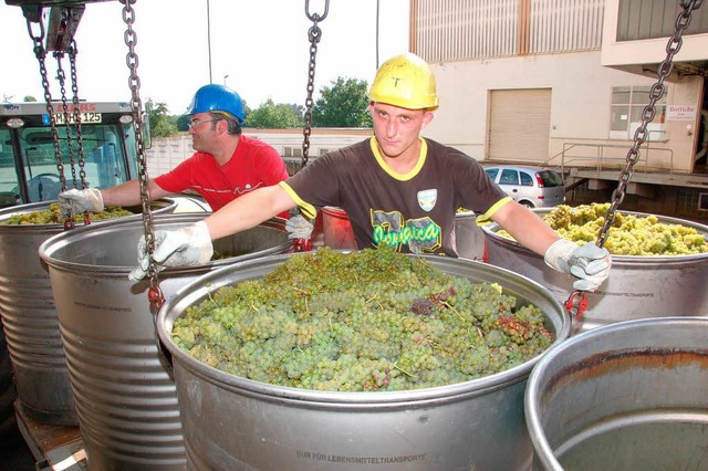 Beim Badischen Winzerkeller wurden am ...#8222;Neuen Sen&#8220;  angeliefert.  | Foto: Gerold Zink