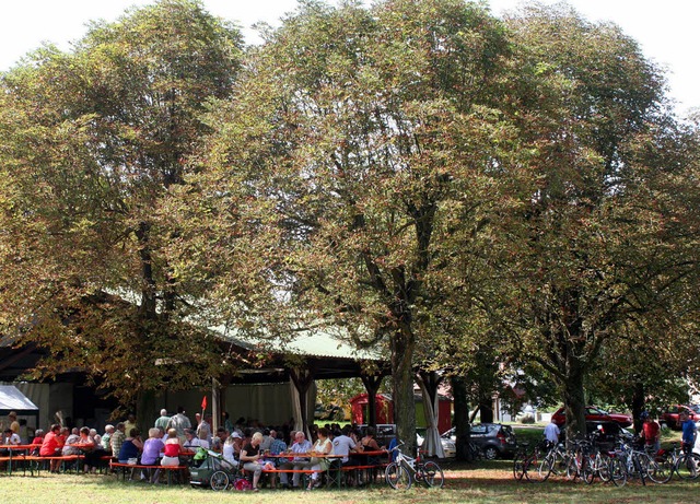 Gut ein Dutzend Kastanienbume beschatten den Festplatz in Kleinkems.  | Foto: Reinhard Cremer