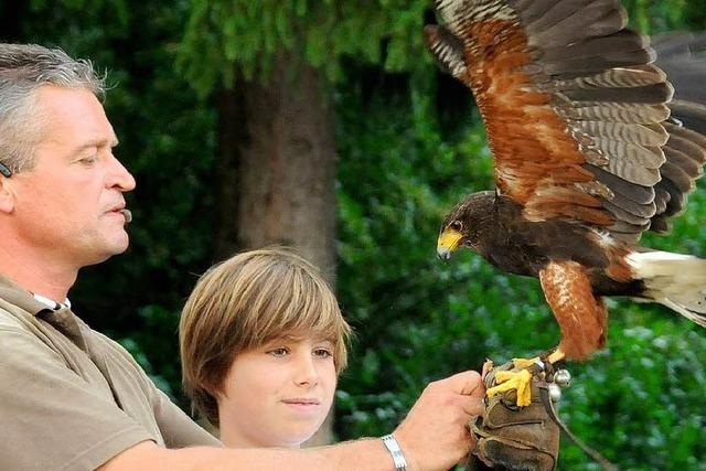 Tierische Erlebnisse im Vogelpark Steinen