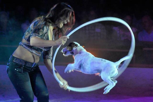 Fotos: Circus Louis Knie in Freiburg