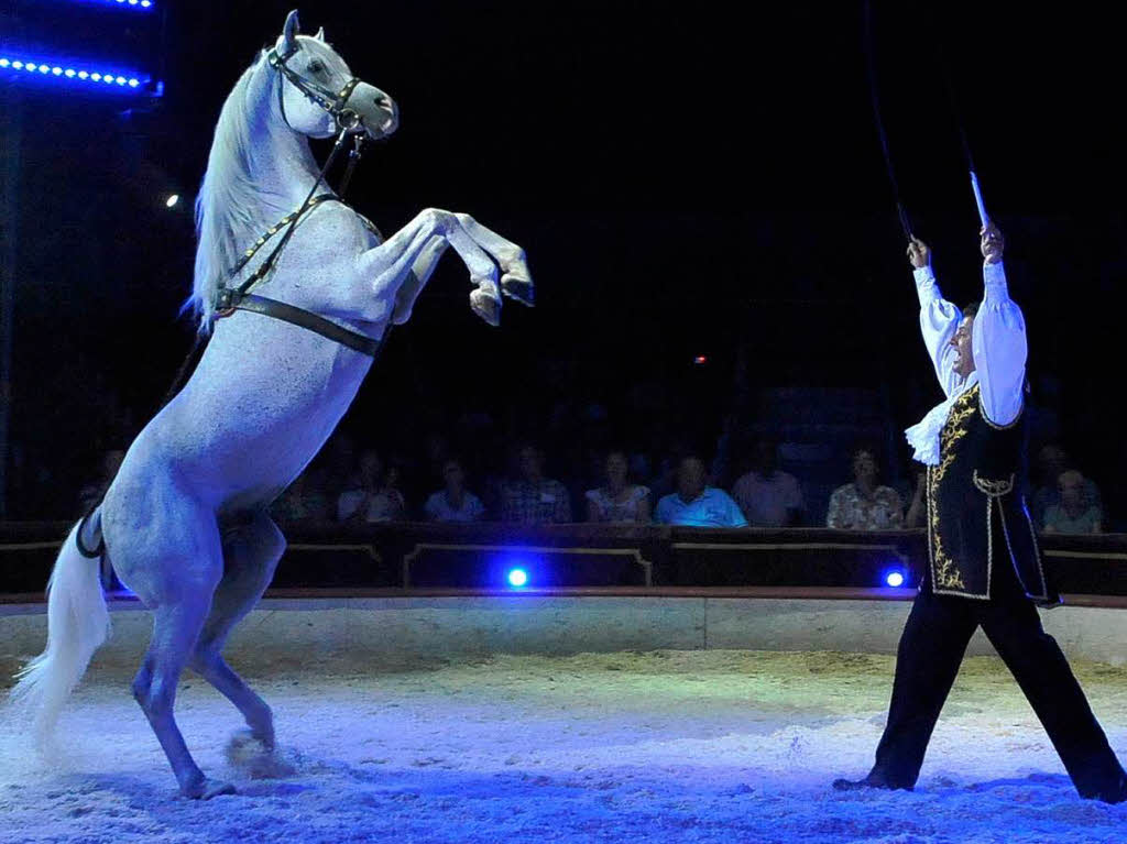 Menschen, Tiere, Sensationen – der Circus Louis Knie in Freiburg.