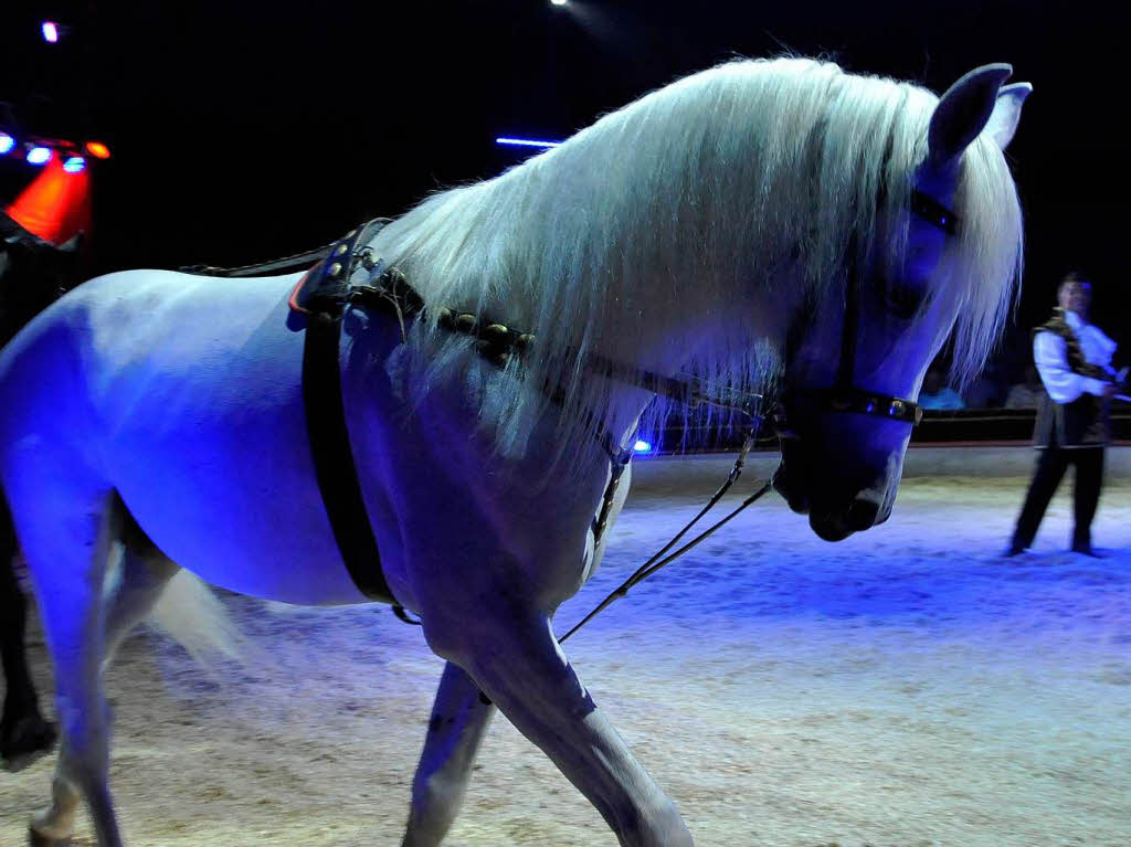 Menschen, Tiere, Sensationen – der Circus Louis Knie in Freiburg.