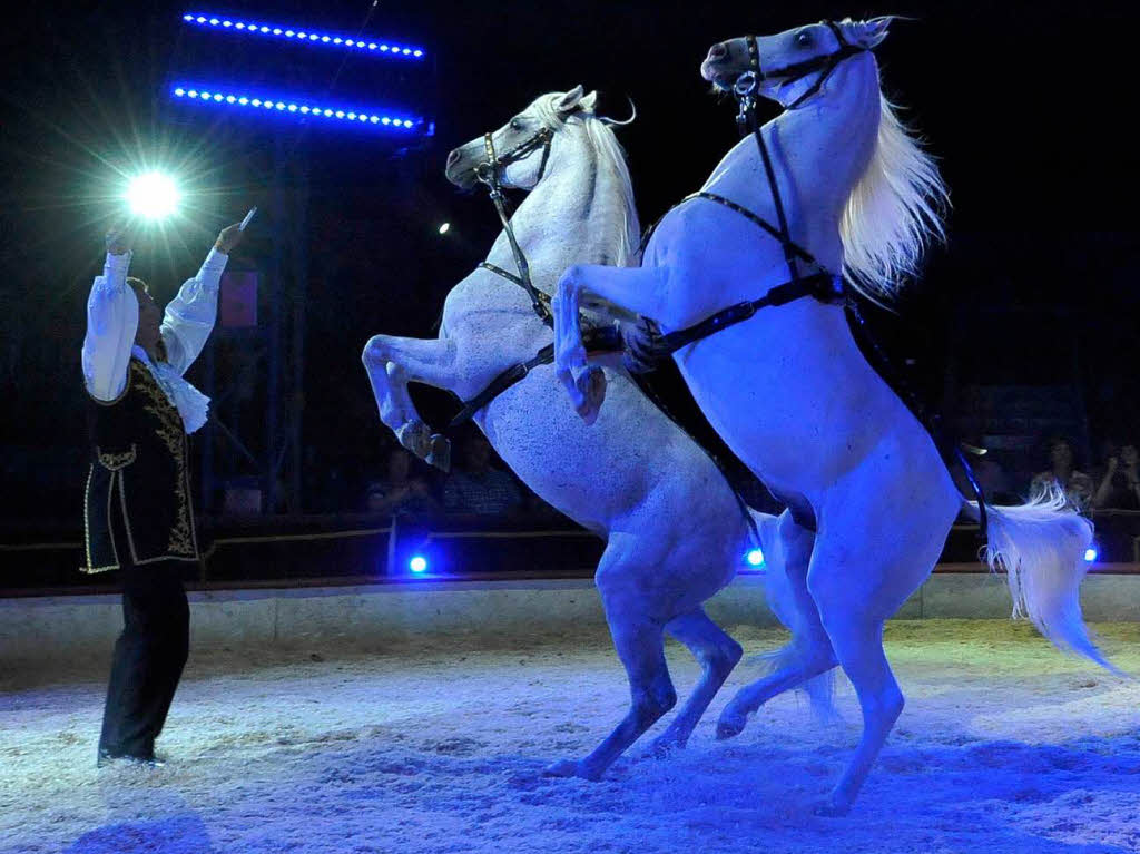 Menschen, Tiere, Sensationen – der Circus Louis Knie in Freiburg.